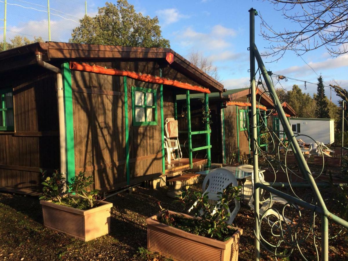 Camping Le Soline Casciano Di Murlo Exteriér fotografie
